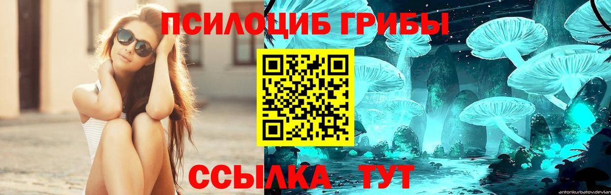 Псилоцибиновые грибы Psilocybe  Вход с VPN  Коломна  Псилоцибиновые грибы Cubensis 