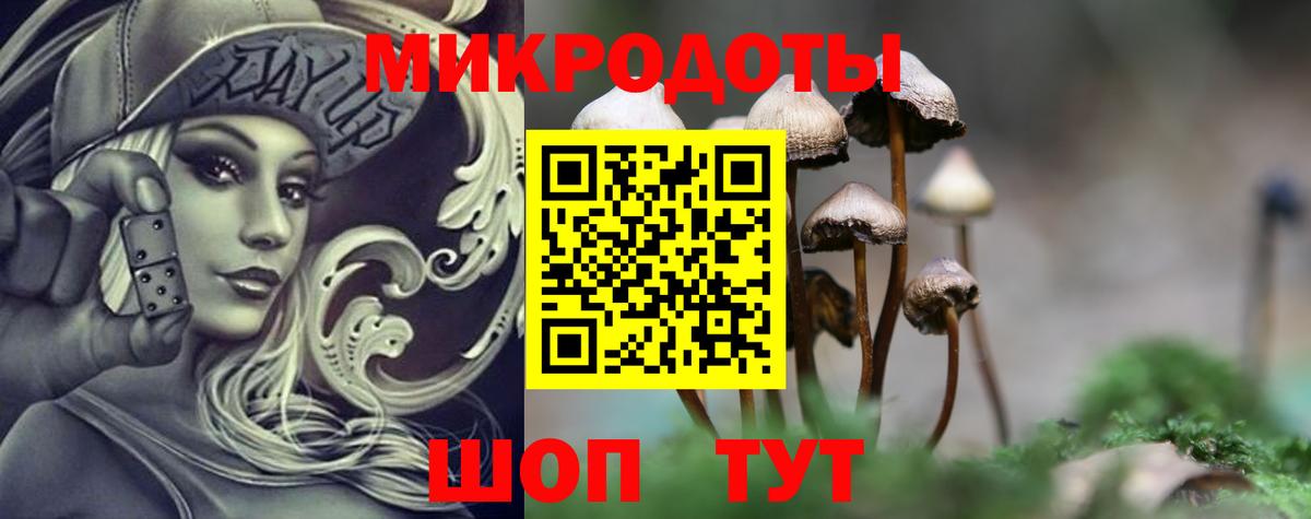 Псилоцибиновые грибы прущие грибы Коломна